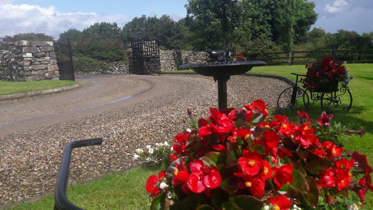 Bealkelly Country House Killaloe Zewnętrze zdjęcie