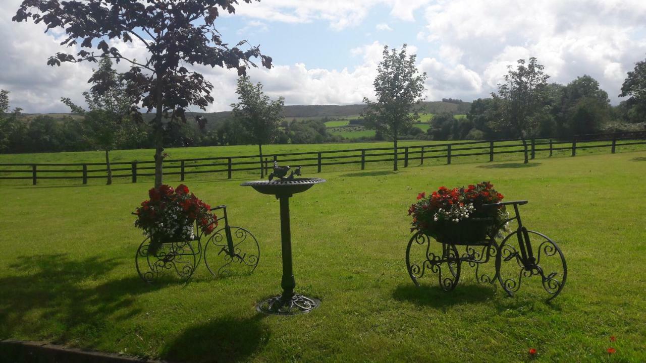 Bealkelly Country House Killaloe Zewnętrze zdjęcie